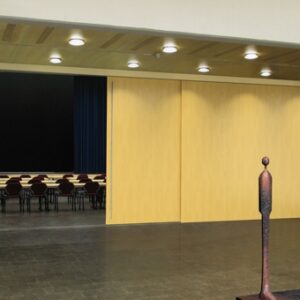 Hawa Junior 250 B Sliding Interior Pocket Door System